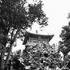 forbidden city - house on hill.jpg